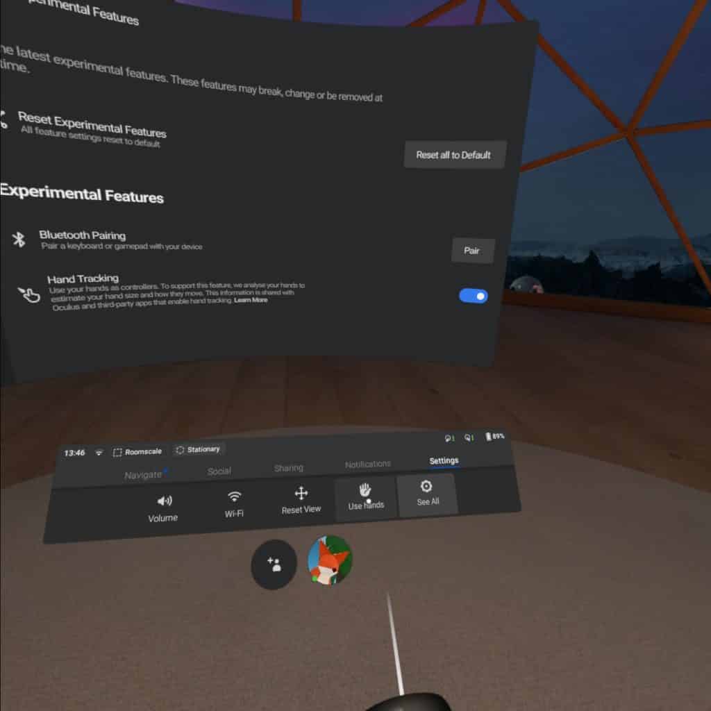 Oculus Hand Tracking Settings